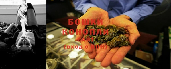 трава Иноземцево